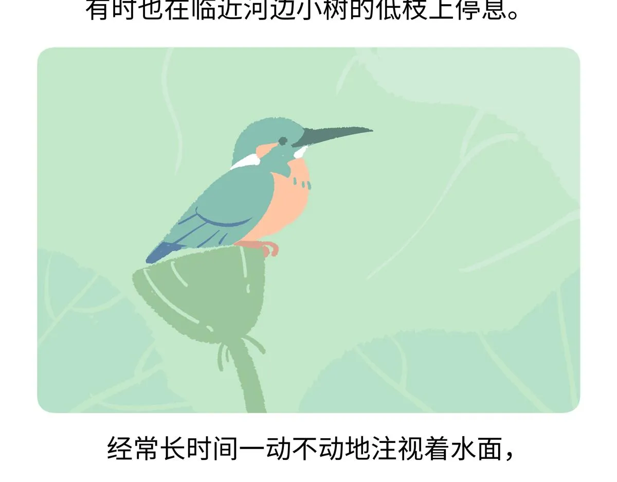 胖达熊猫棒球漫画,第220话1图