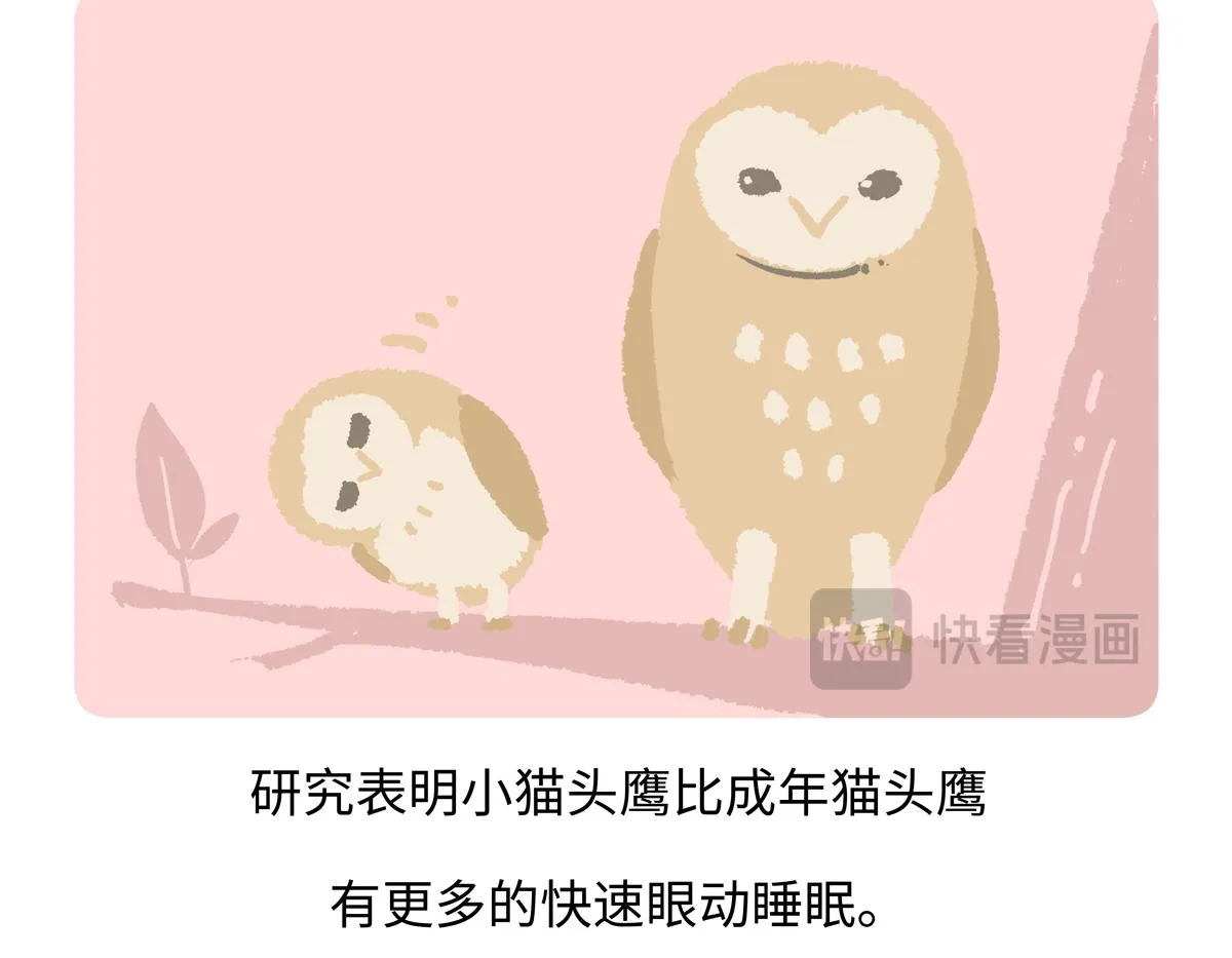胖达星座漫画,第223话2图