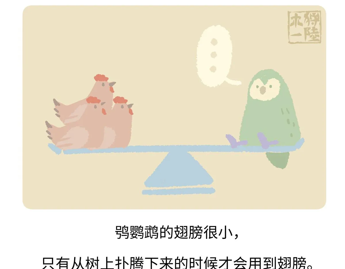 胖达熊猫棒球漫画,第216话1图