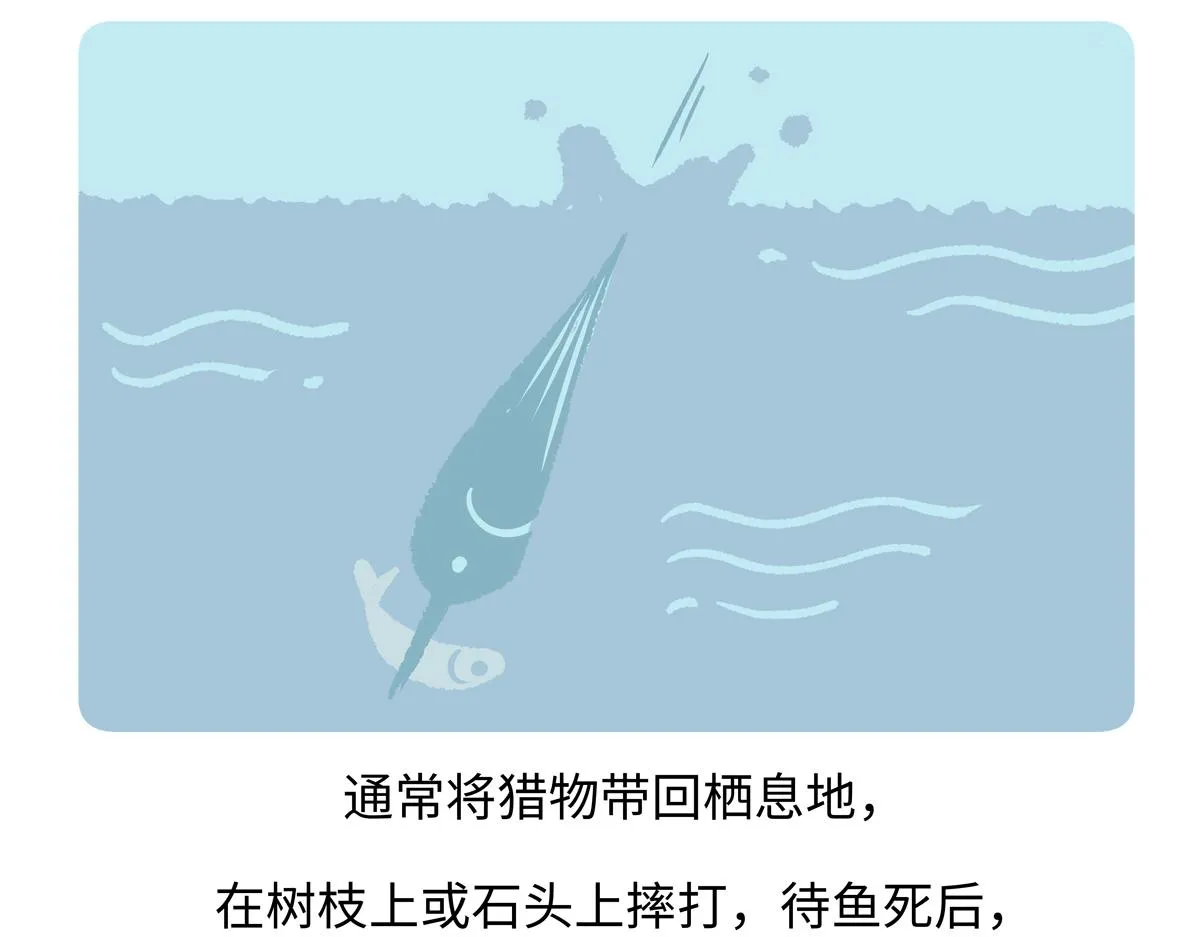 胖达熊猫棒球漫画,第220话1图