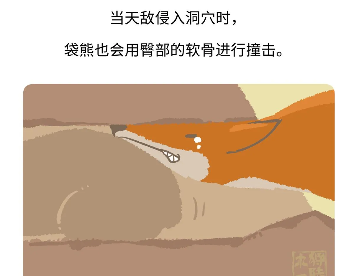 胖达熊猫棒球漫画,第221话2图
