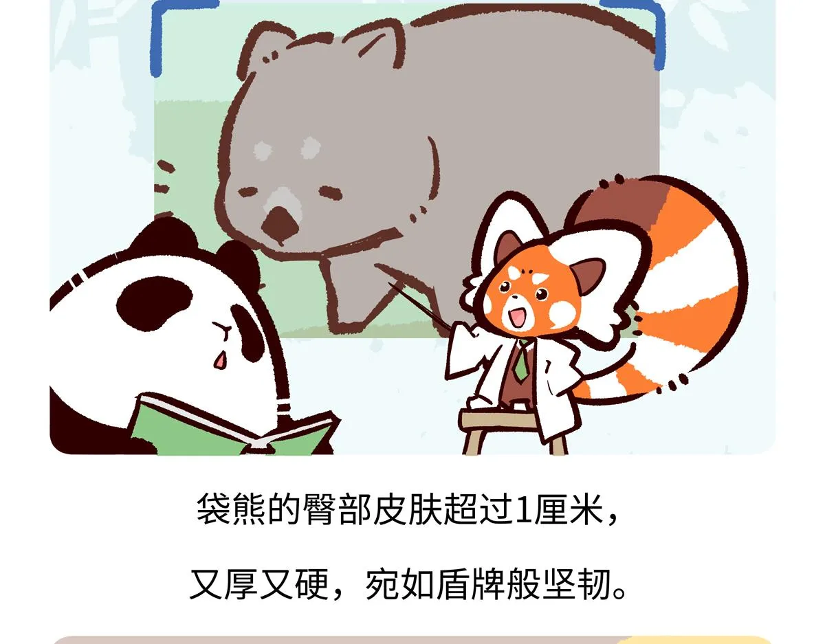 胖达熊猫棒球漫画,第221话1图
