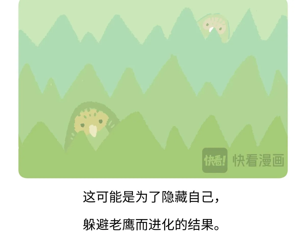 胖达熊猫棒球漫画,第216话1图