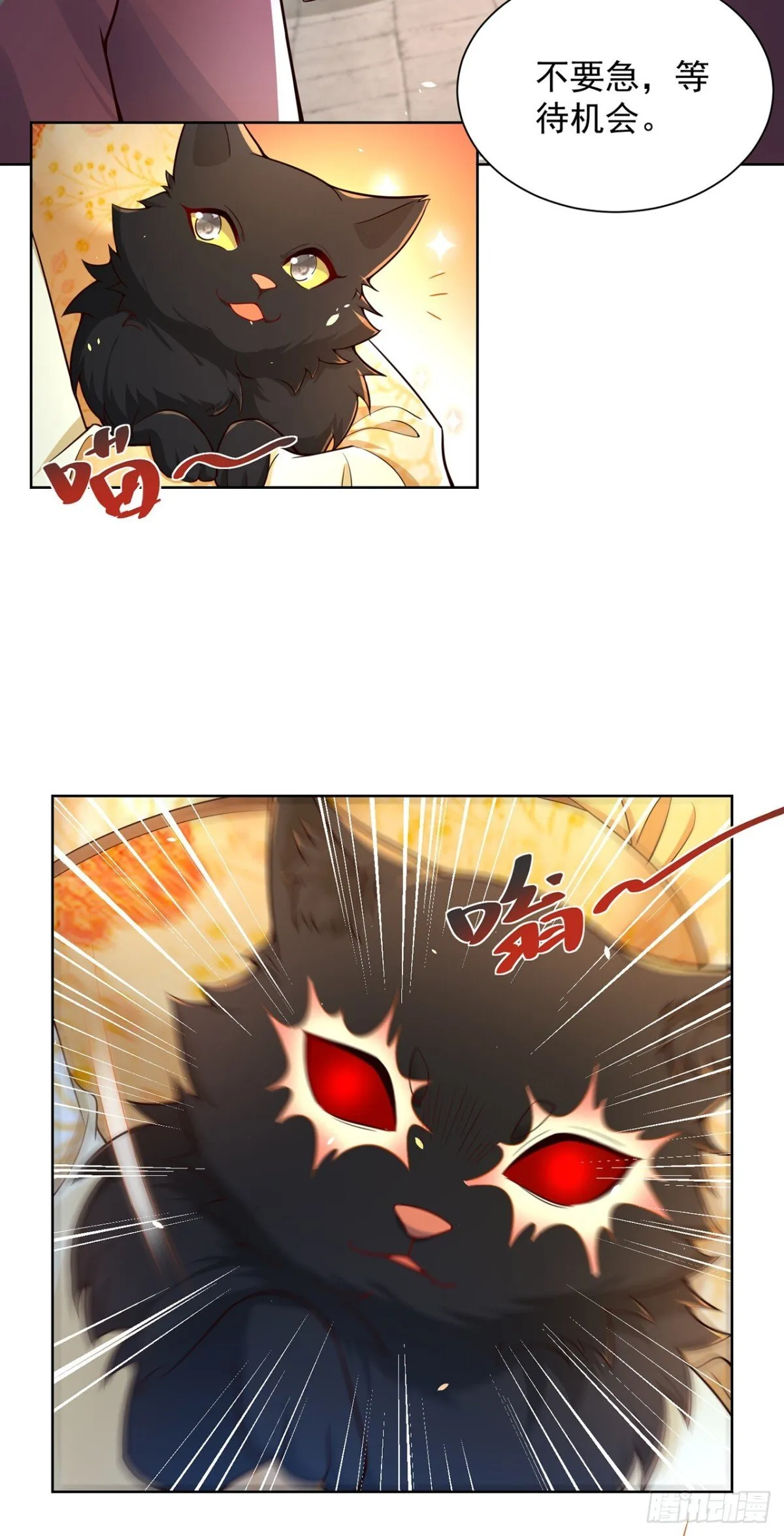 我真没想当神仙漫画,第68话 不要逼我太紧！1图