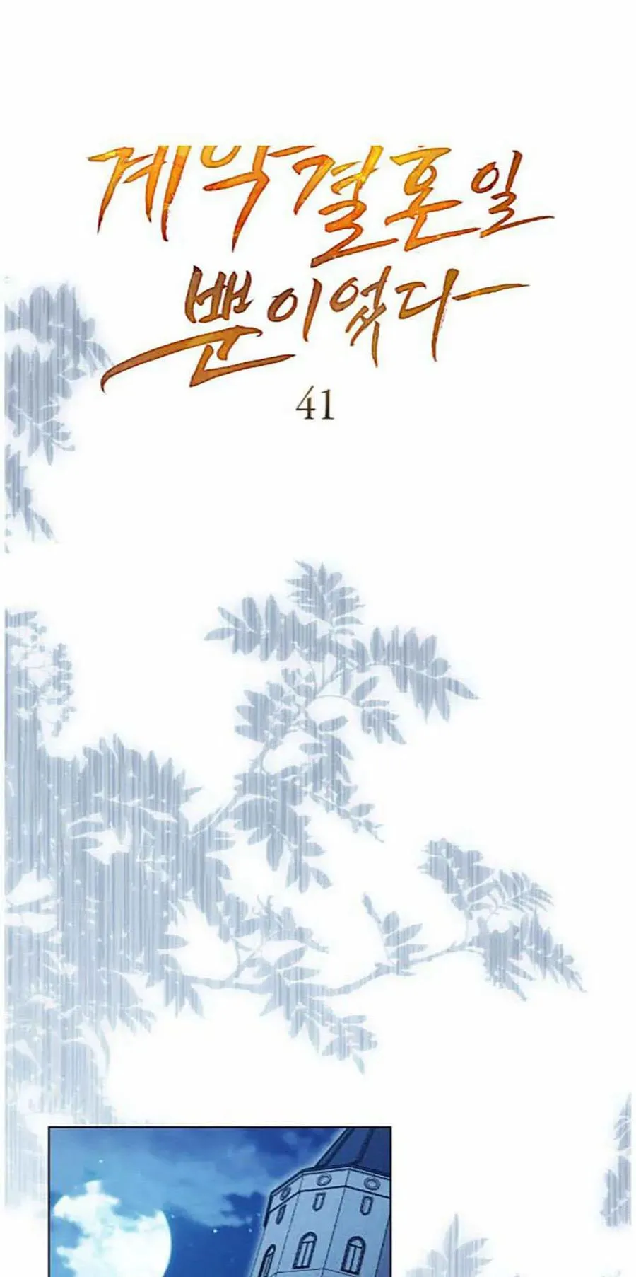 契约婚姻终于结束了漫画,第41话1图