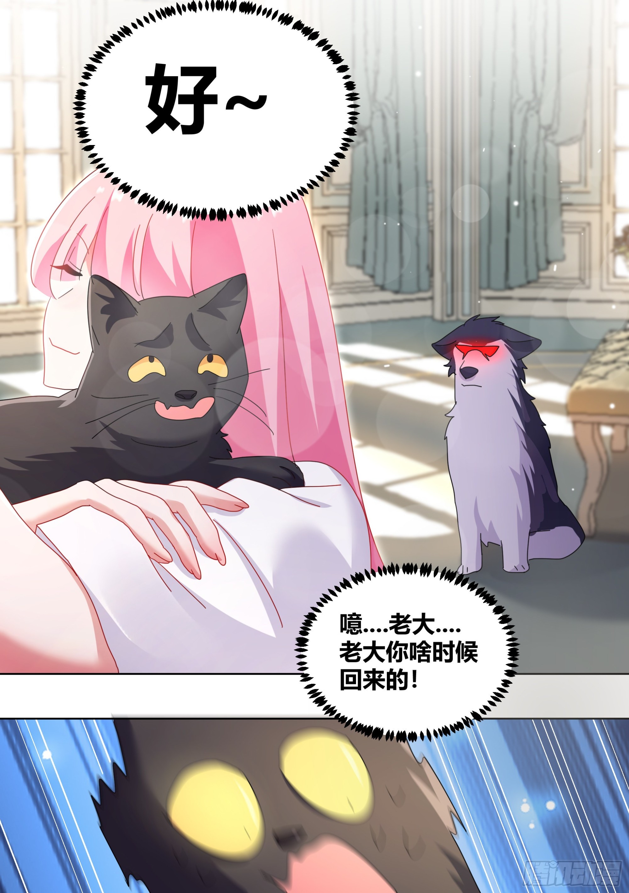 直播：女神家的哈士奇天秀漫画,280-绝育吧2图