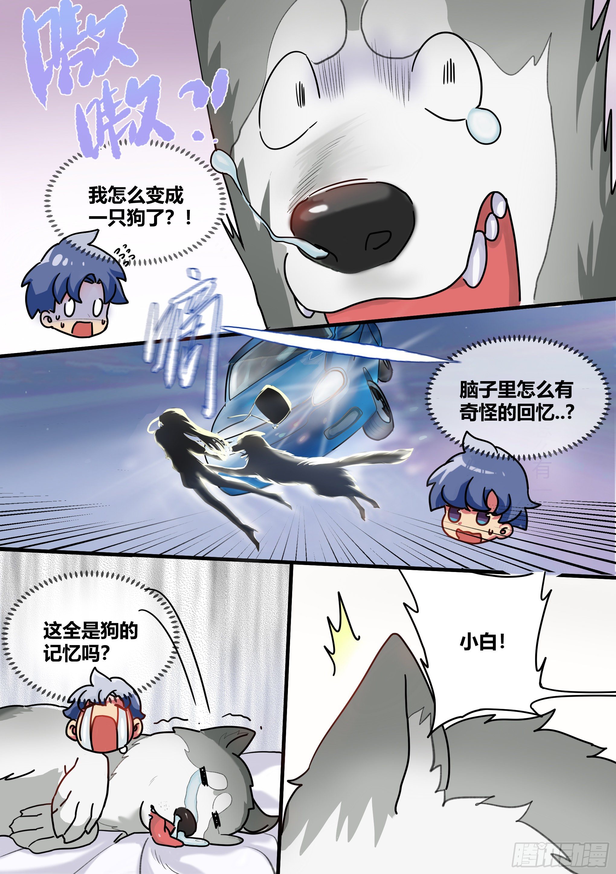 直播：女神家的哈士奇天秀漫画,1-我为什么变成了狗？！1图