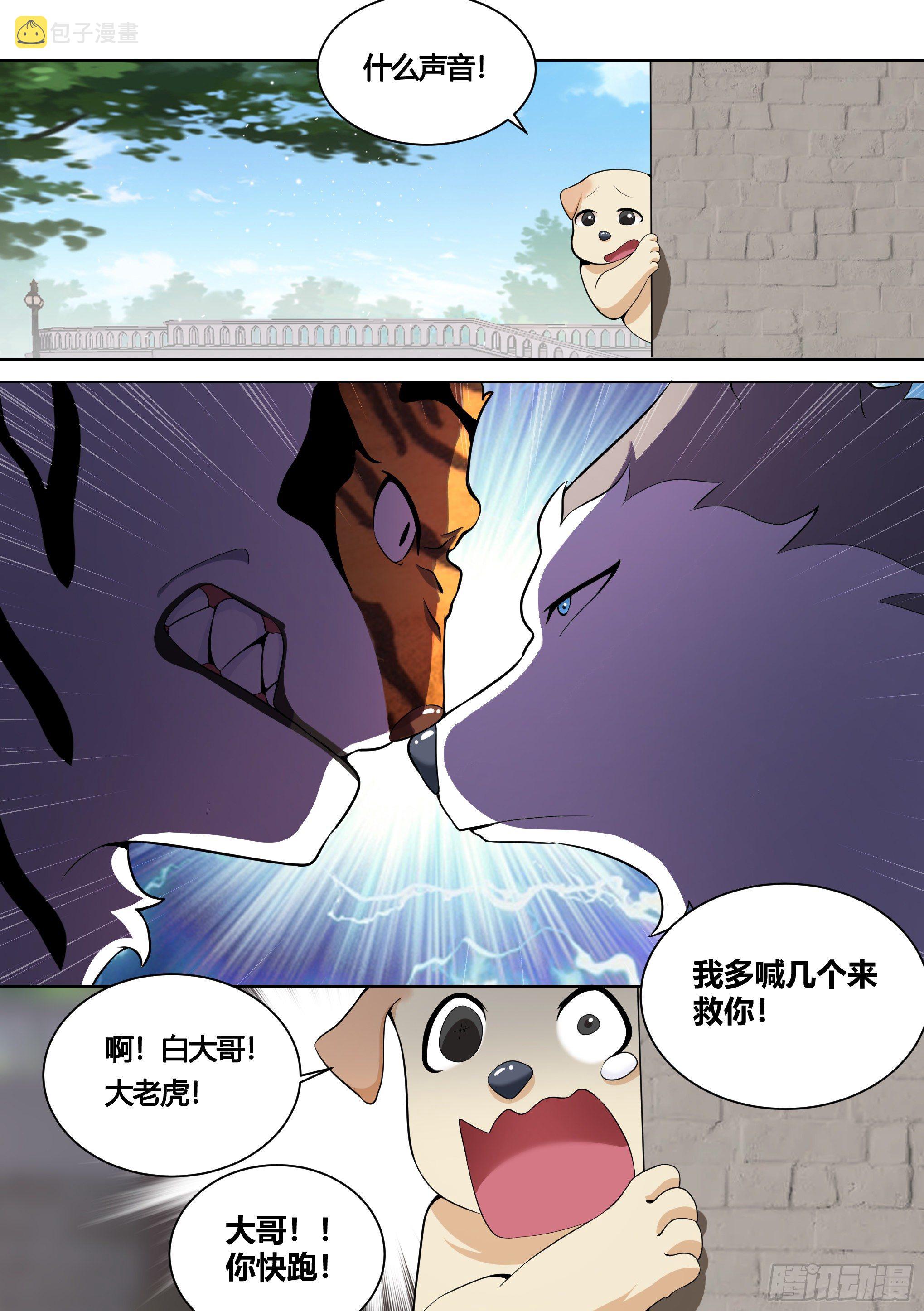 直播：女神家的哈士奇天秀漫画,157-有老虎！1图