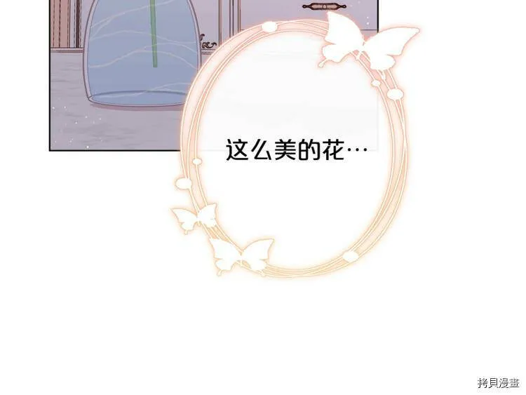 精灵团宠小千金免费漫画全集漫画,第37话2图