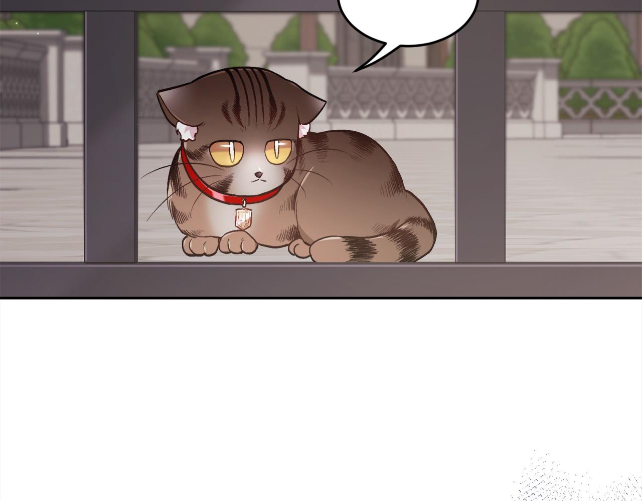 精灵团宠小千金免费漫画全集漫画,第119话 泰拉登场！2图
