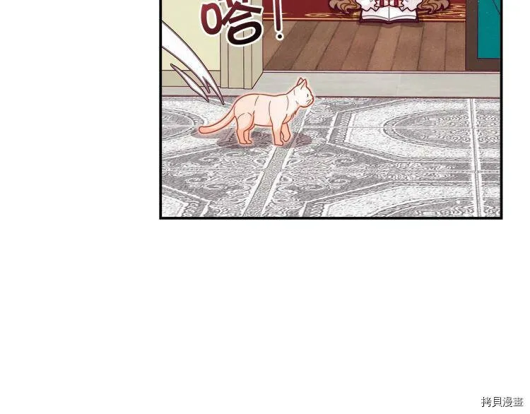 精灵团宠小千金免费漫画全集漫画,第50话2图
