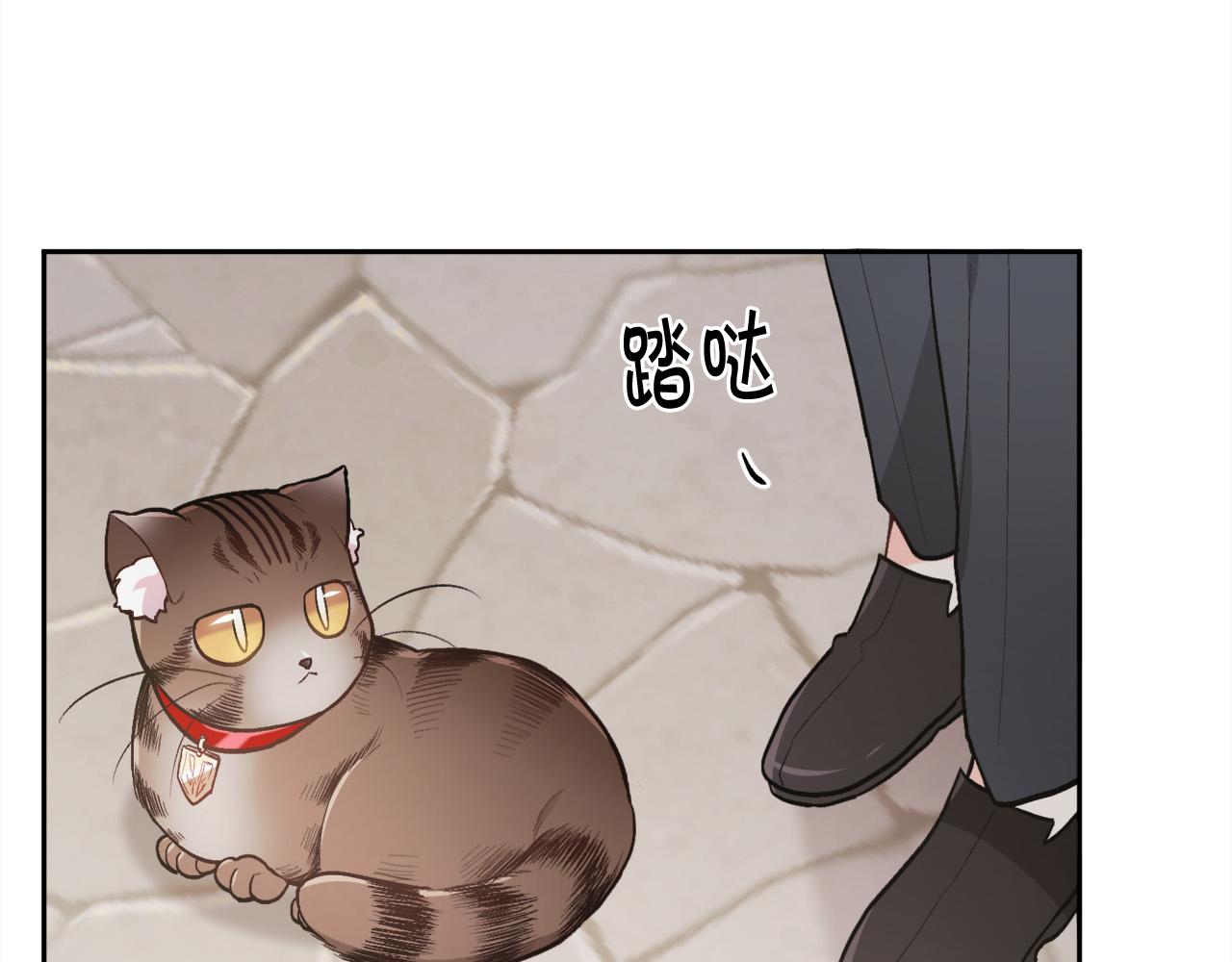 精灵团宠小千金漫画下拉式免费漫画,第119话 泰拉登场！1图