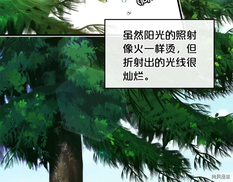 精灵团宠小千金免费漫画全集漫画,第49话2图
