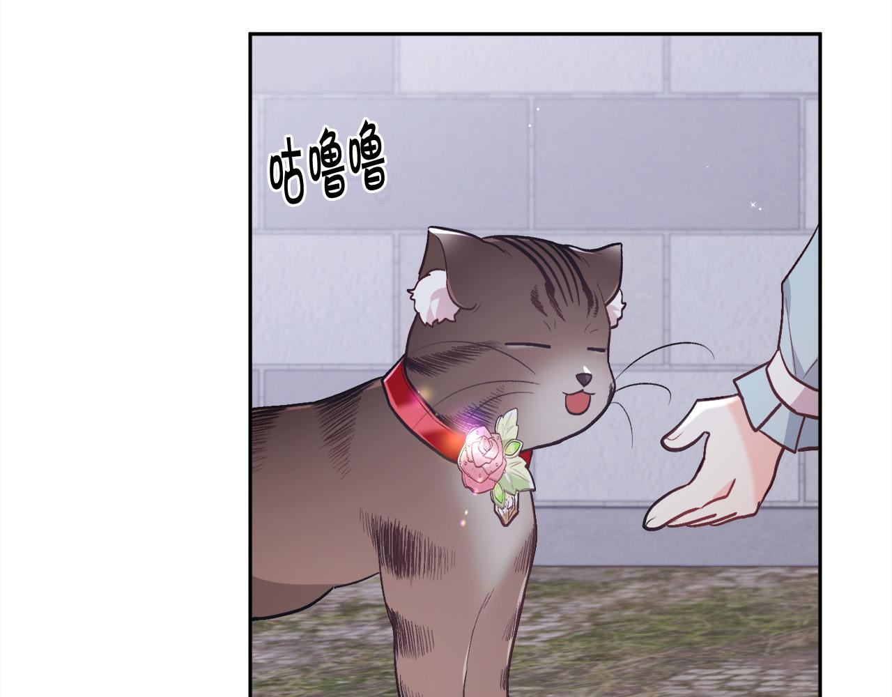 精灵团宠小千金漫画下拉式免费漫画,第123话 泰拉变身！1图
