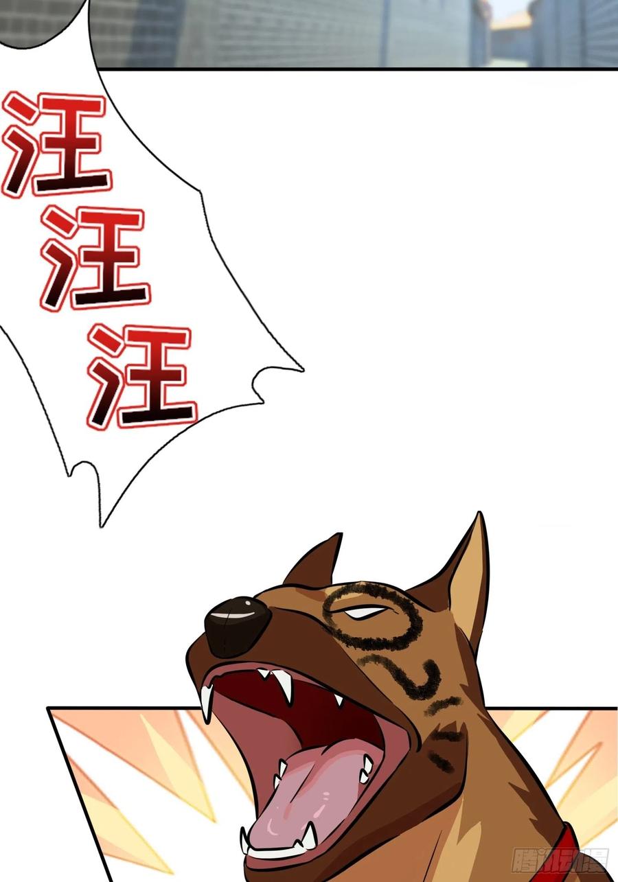 我告老师！！漫画,第43话：那天放狗追我的是你！1图