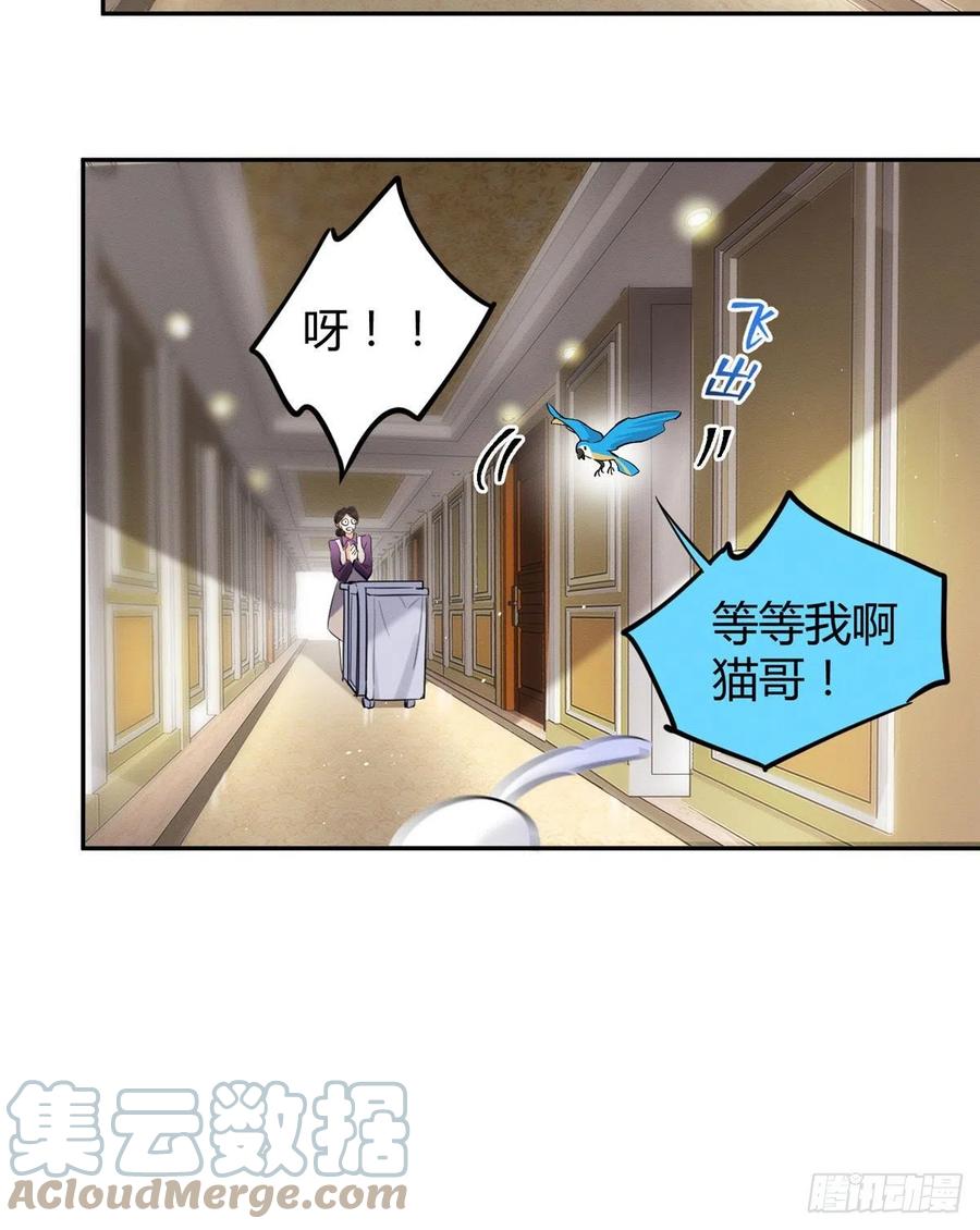 今天也要努力当只猫完整版漫画,47坏女人！2图