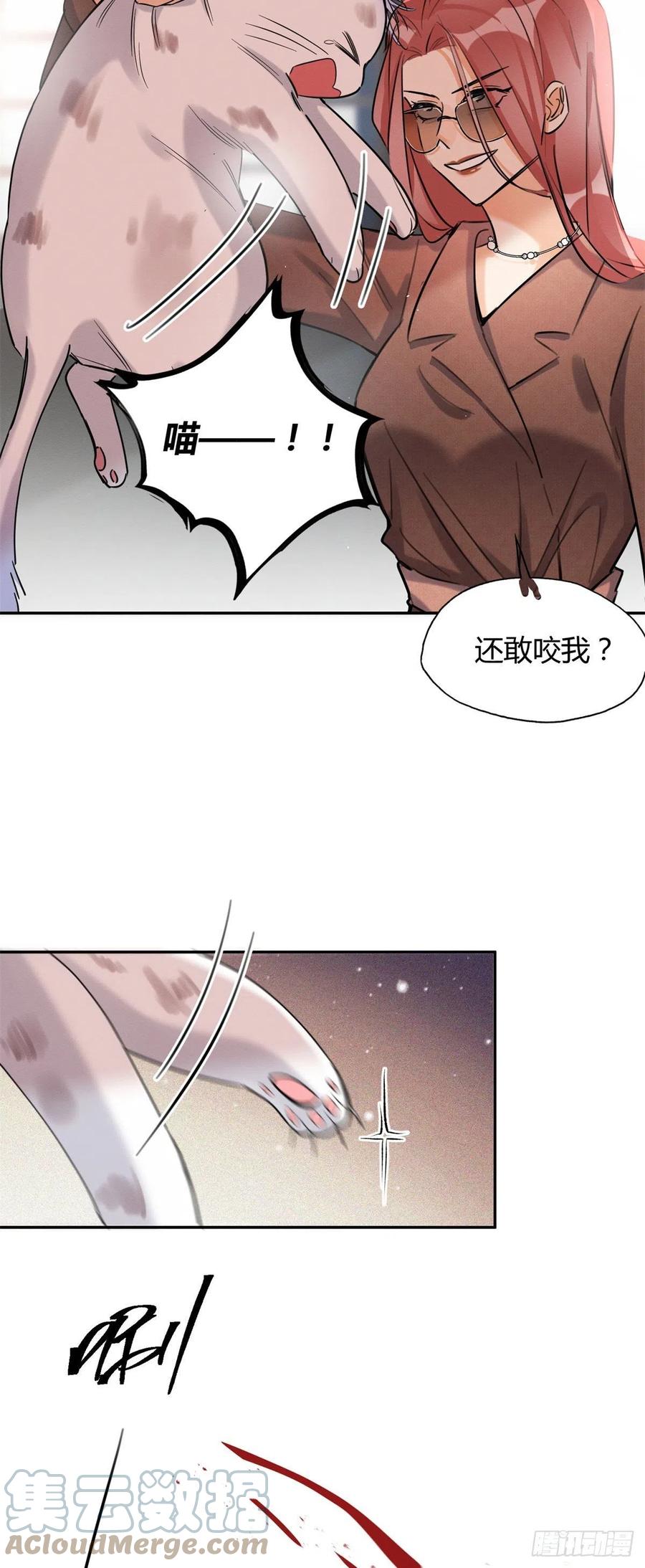 今天也要努力当只猫漫画,48英雄救猫狗1图