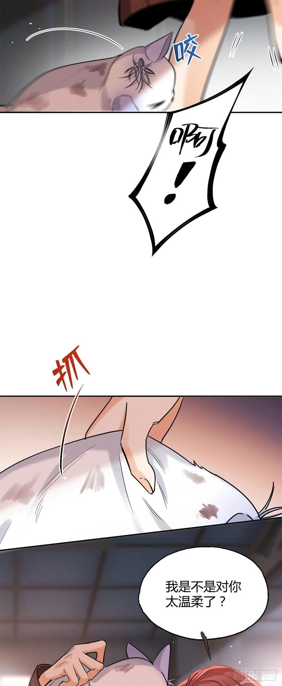 今天也要努力当只猫漫画,48英雄救猫狗2图