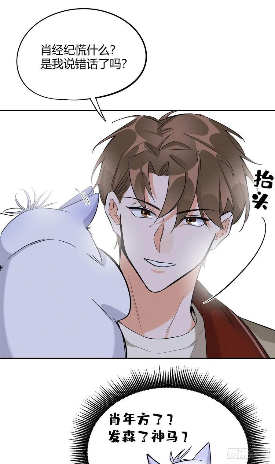 今天也要努力当只猫漫画,第33话 睹猫思人2图