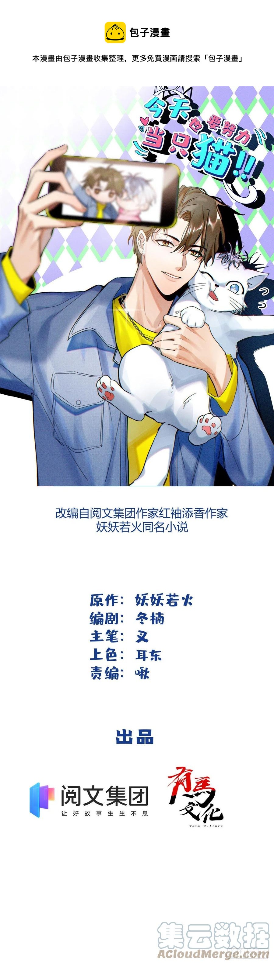 今天也要努力当只猫TXT漫画,63 裴裴捉（？）现场1图