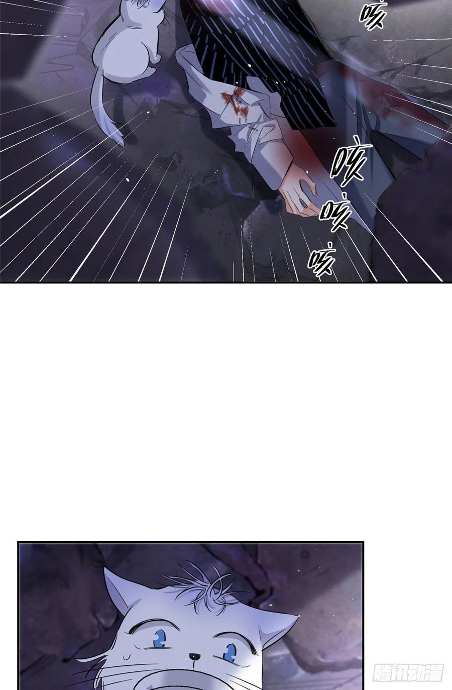 今天也要努力当只猫漫画,54我答应你了!2图