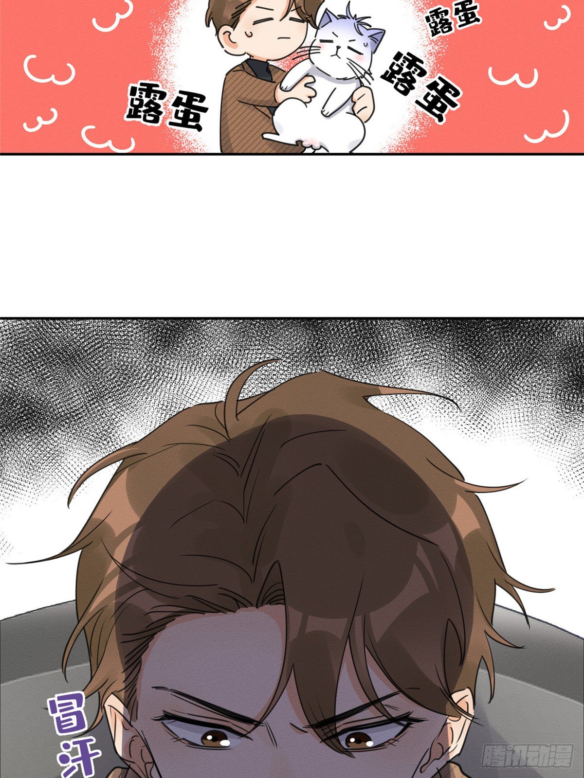今天也要努力当只猫漫画,第13话 我的初吻TAT1图
