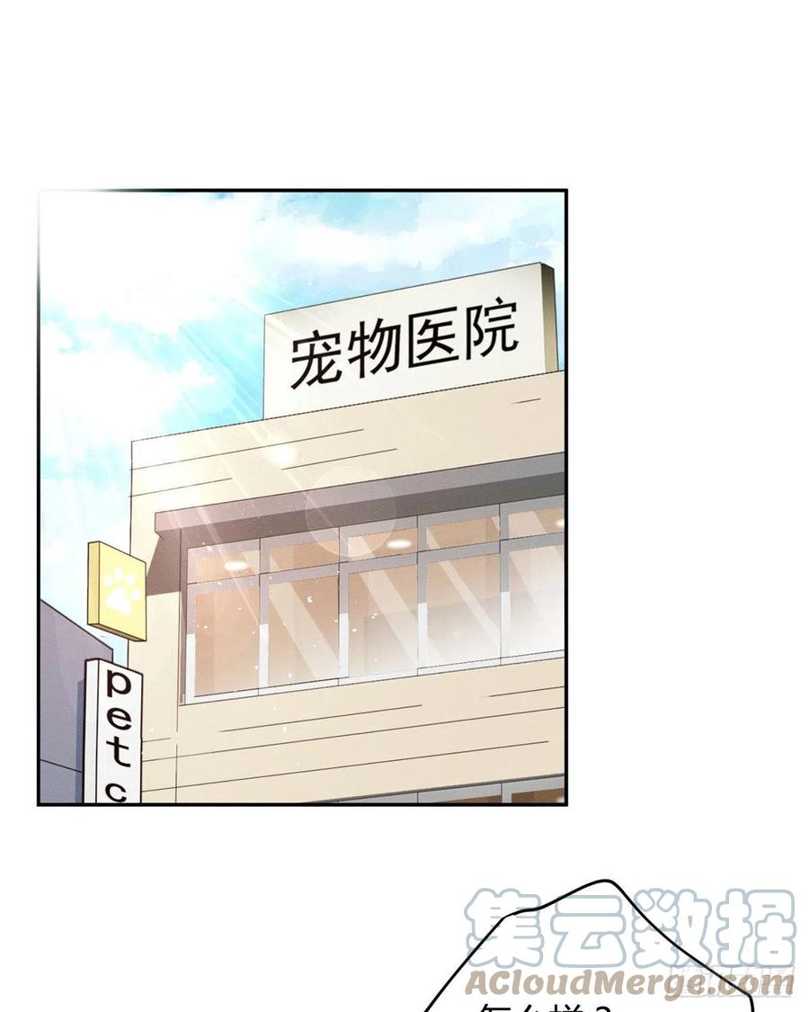 今天也要努力当只猫漫画,48英雄救猫狗1图