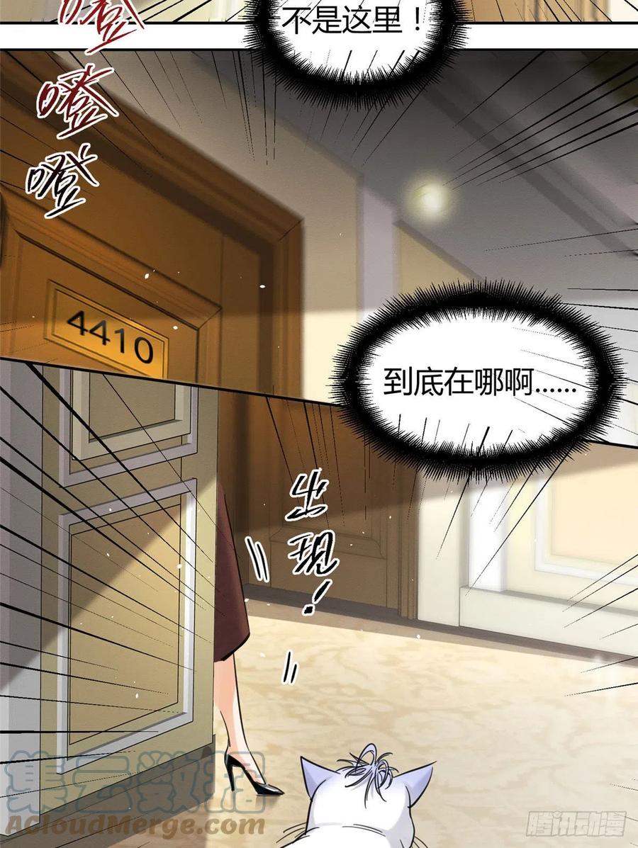 今天也要努力当只猫漫画,47坏女人！1图