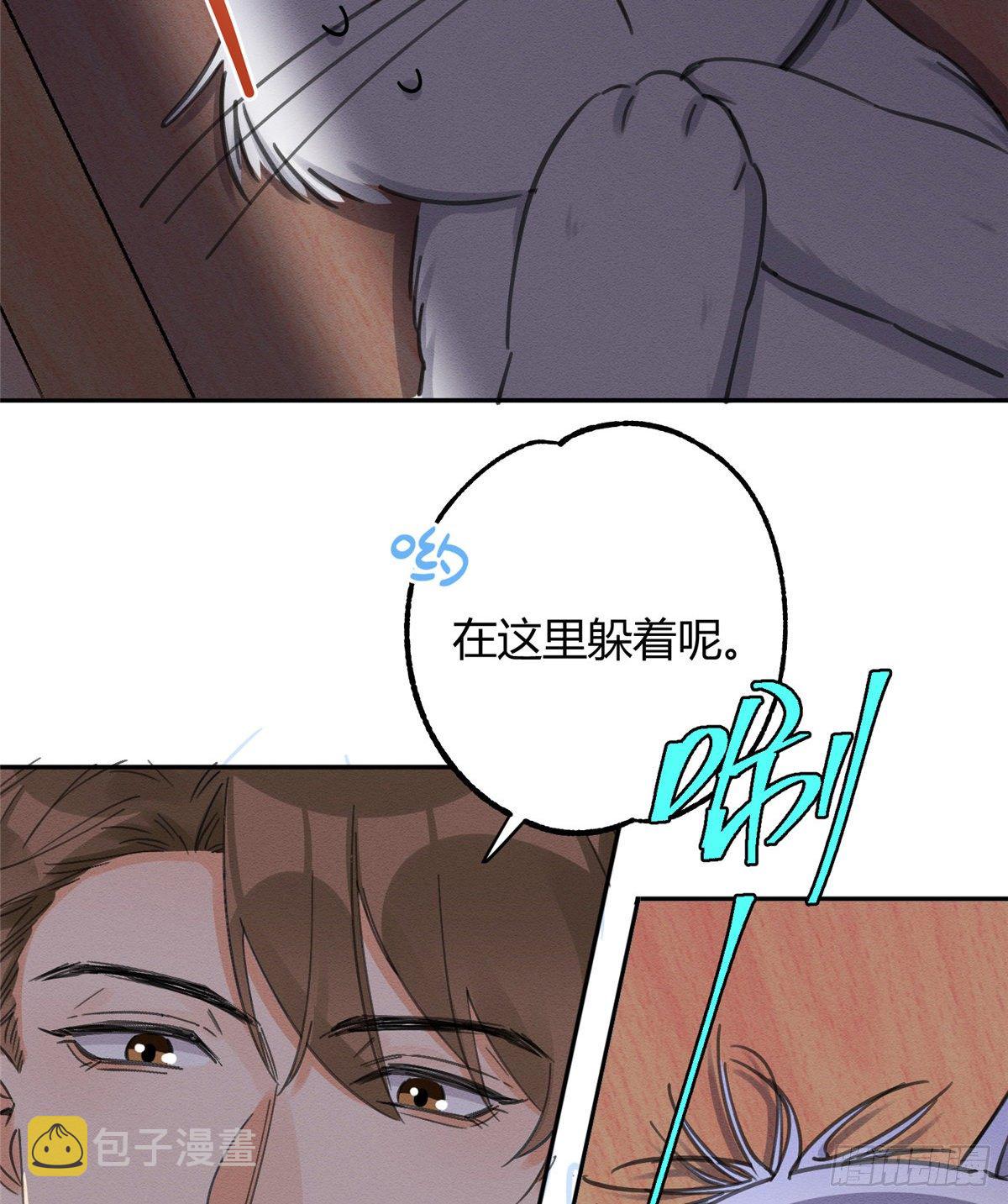 今天也要努力当只猫漫画,第11话 不要亲！1图