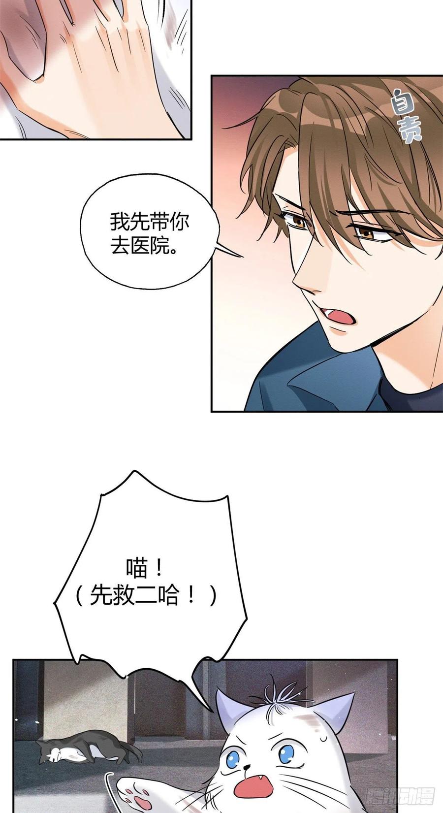 今天也要努力当只猫漫画,48英雄救猫狗2图