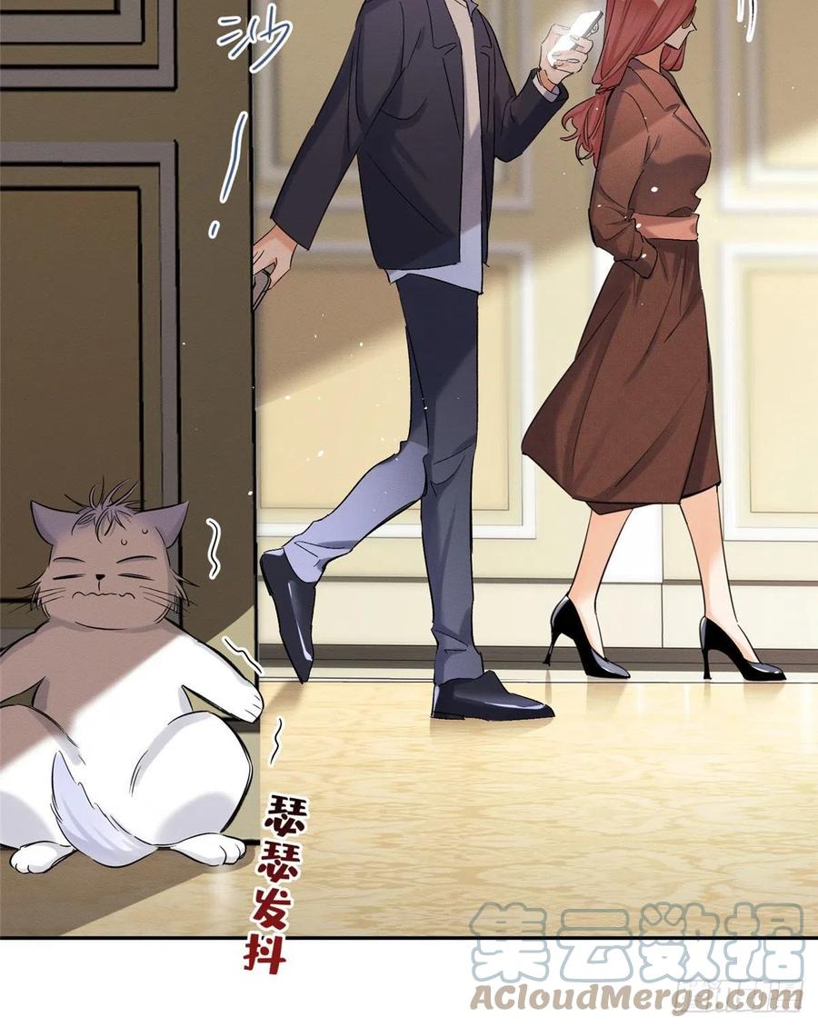 今天也要努力当只猫漫画,47坏女人！2图