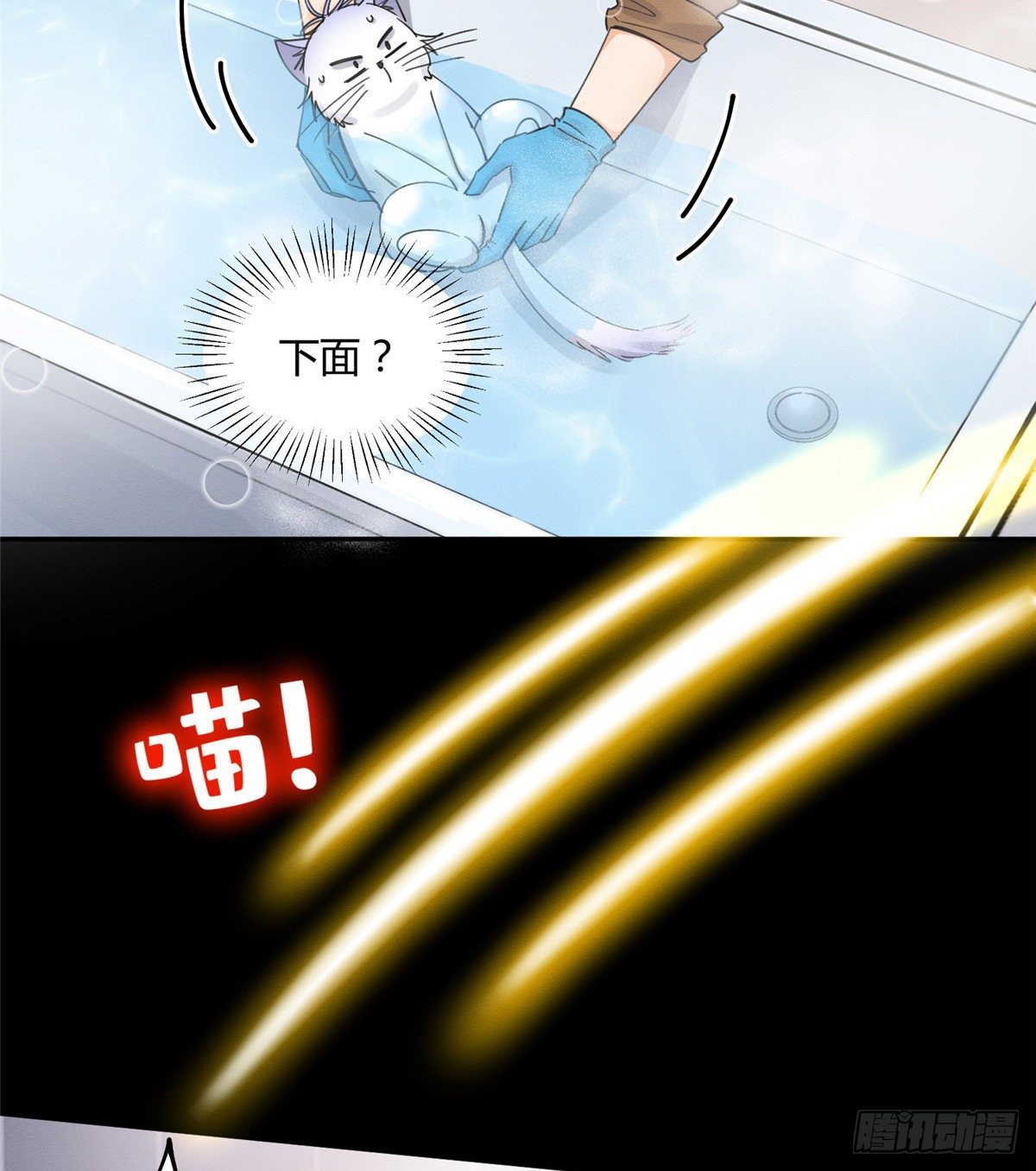 今天也要努力当只猫漫画,第12话 洗澡？！1图