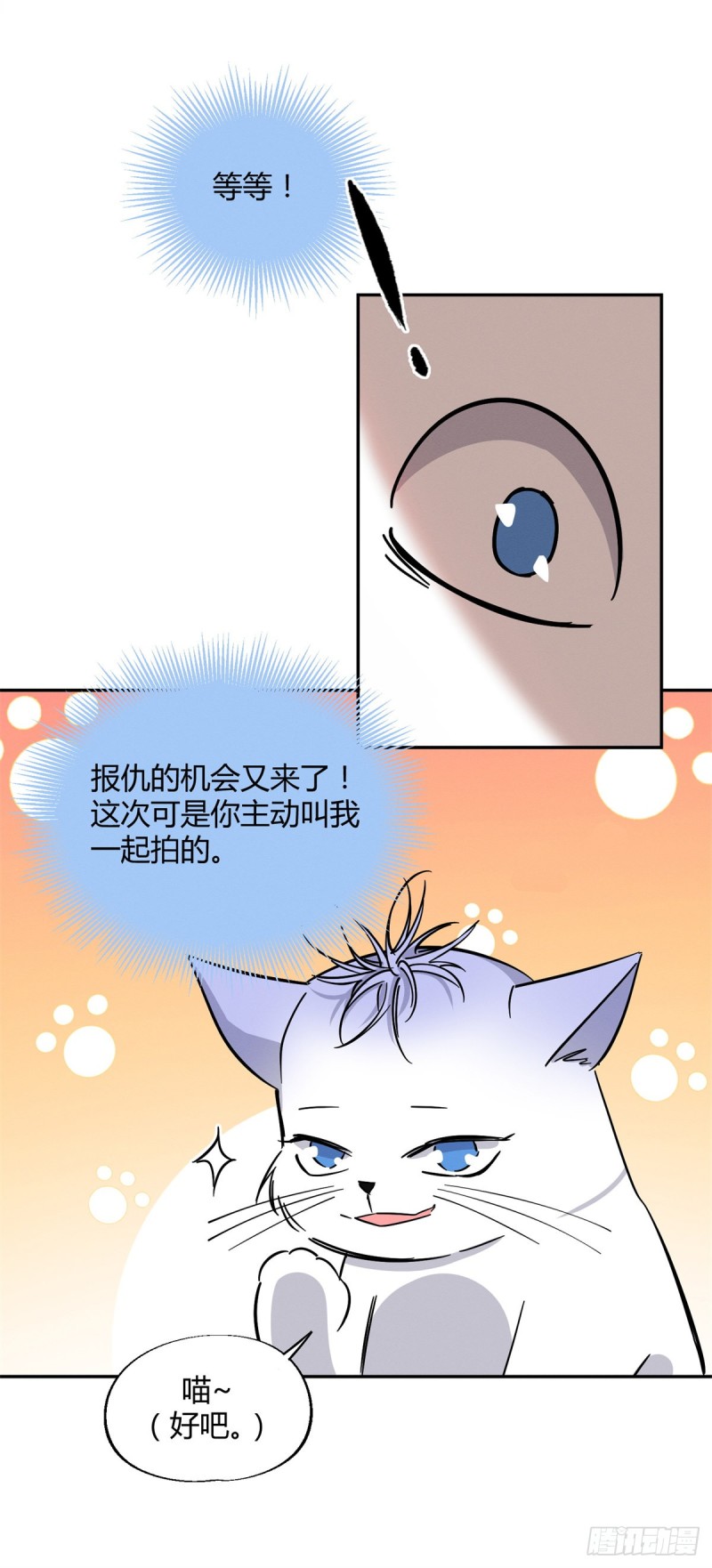 今天也要努力当只猫漫画,第25话 又亲了！1图