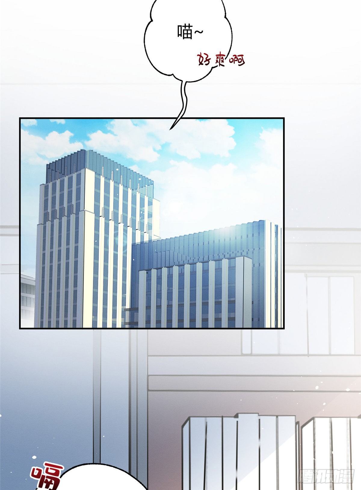 今天也要努力当只猫漫画,第10话 傅司晨来了2图