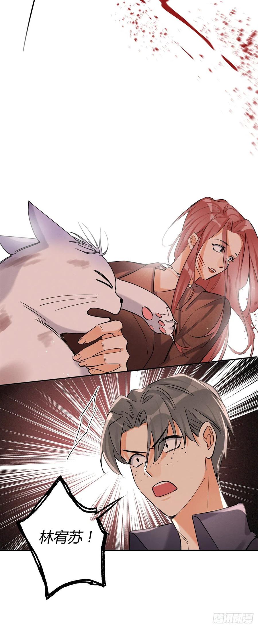 今天也要努力当只猫漫画,48英雄救猫狗2图