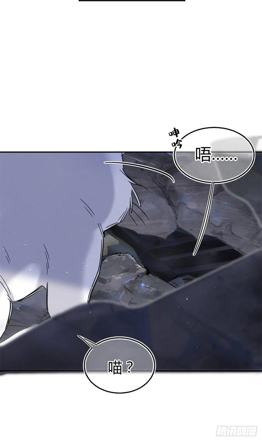 今天也要努力当只猫漫画,53 裴臻你变回来了？！2图