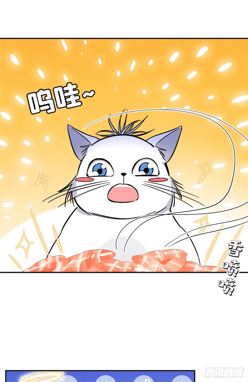 今天也要努力当只猫电视剧在线观看漫画,第28话 画你2图