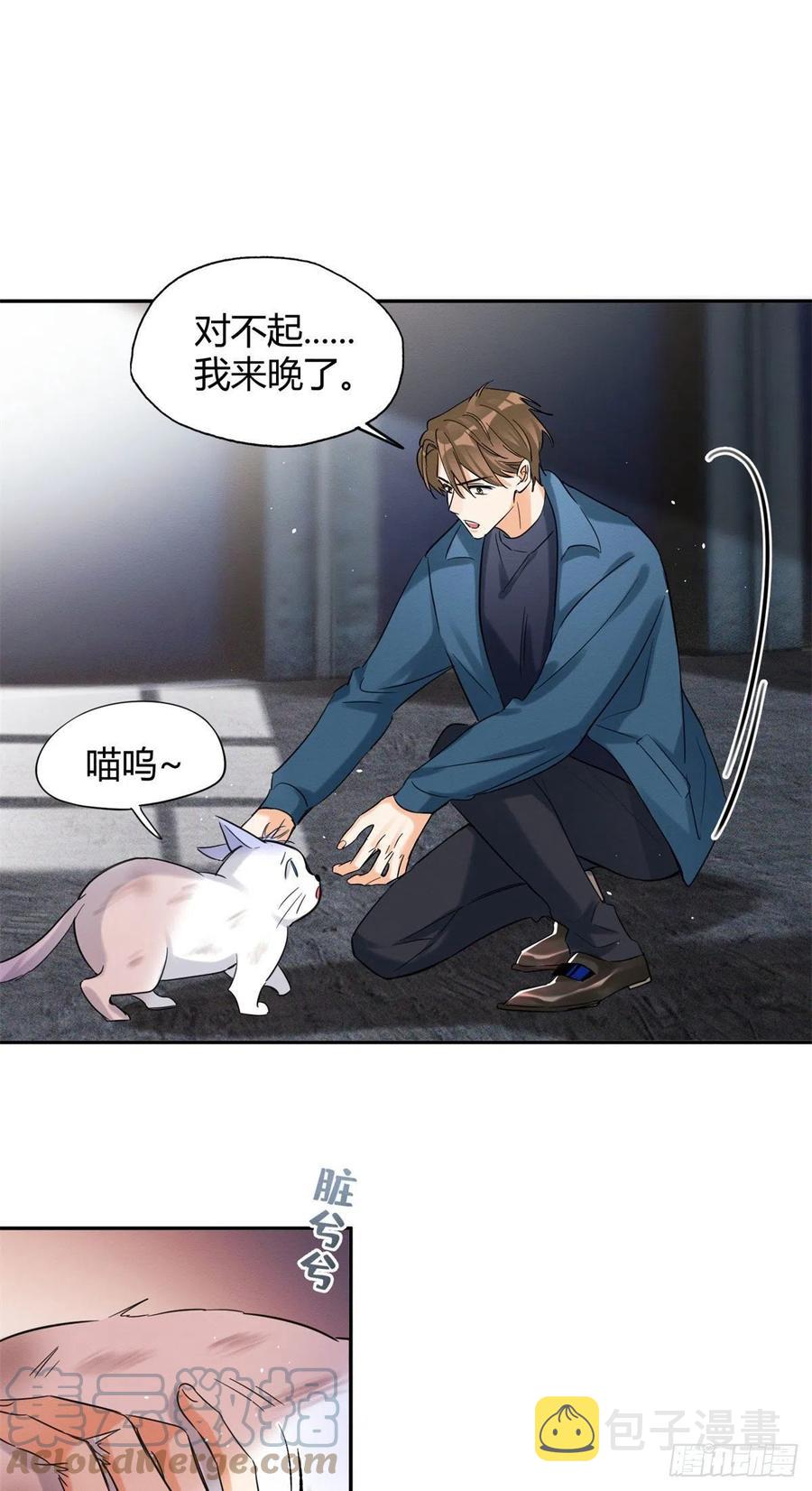 今天也要努力当只猫漫画,48英雄救猫狗1图