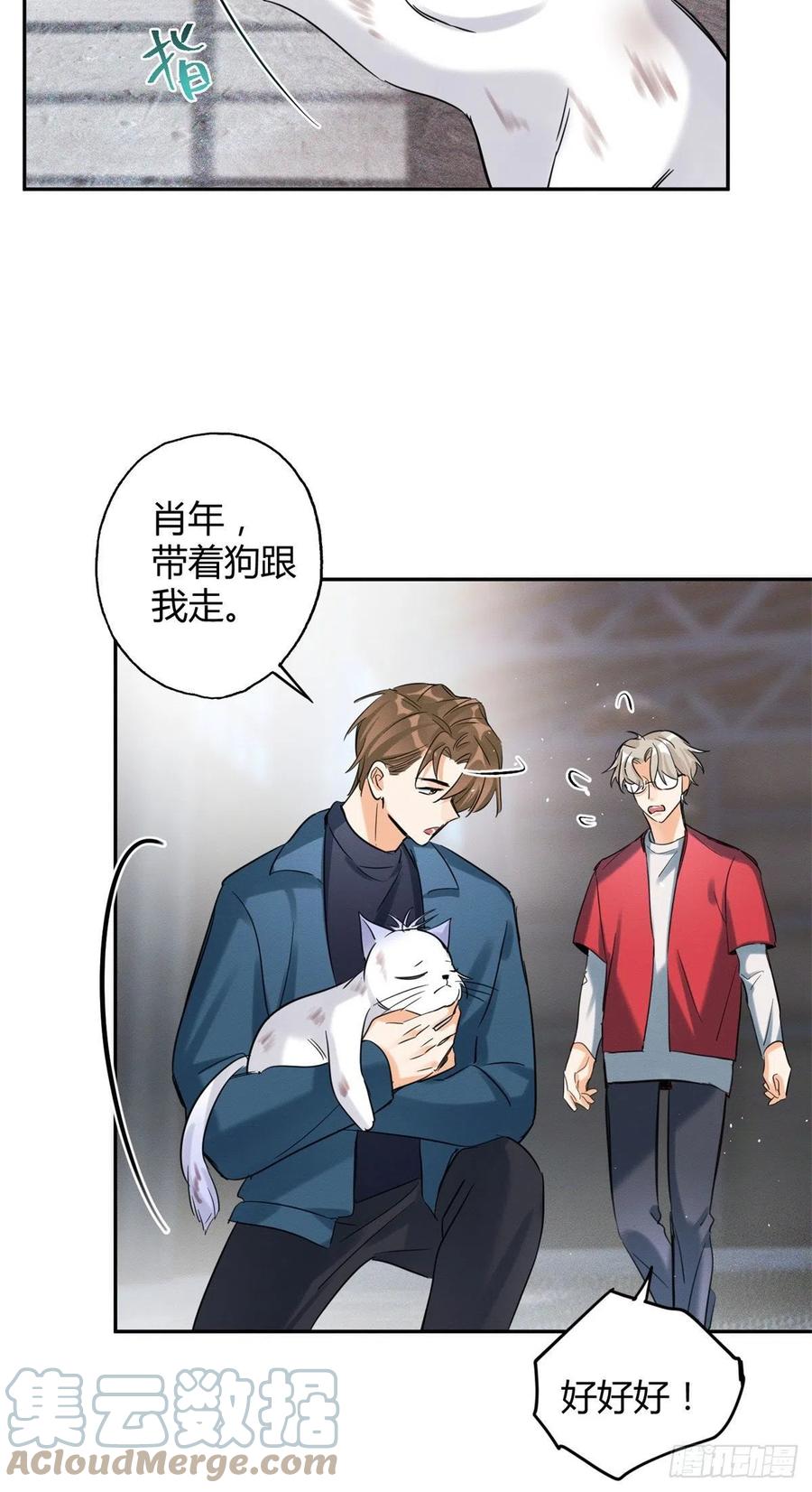 今天也要努力当只猫漫画,48英雄救猫狗1图