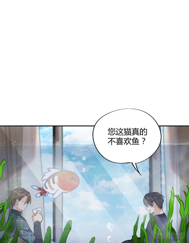 今天也要努力当只猫电视剧在线观看漫画,第24话 别冤枉他2图