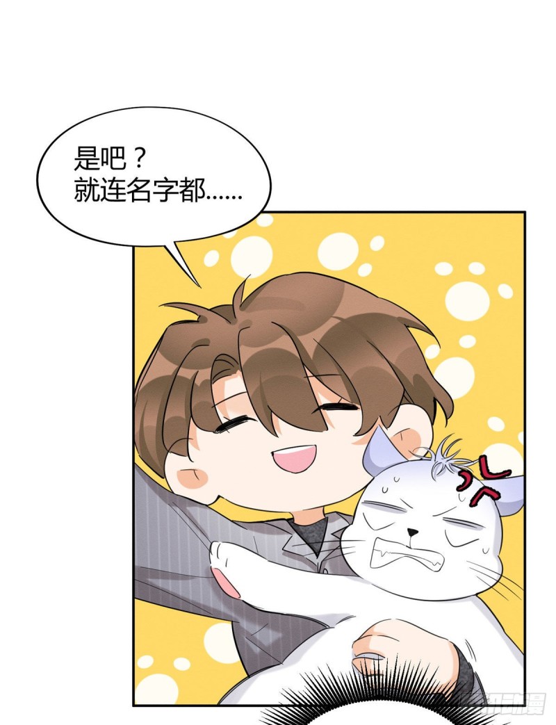 今天也要努力当只猫TXT漫画,第38话 吻？能醒吗2图