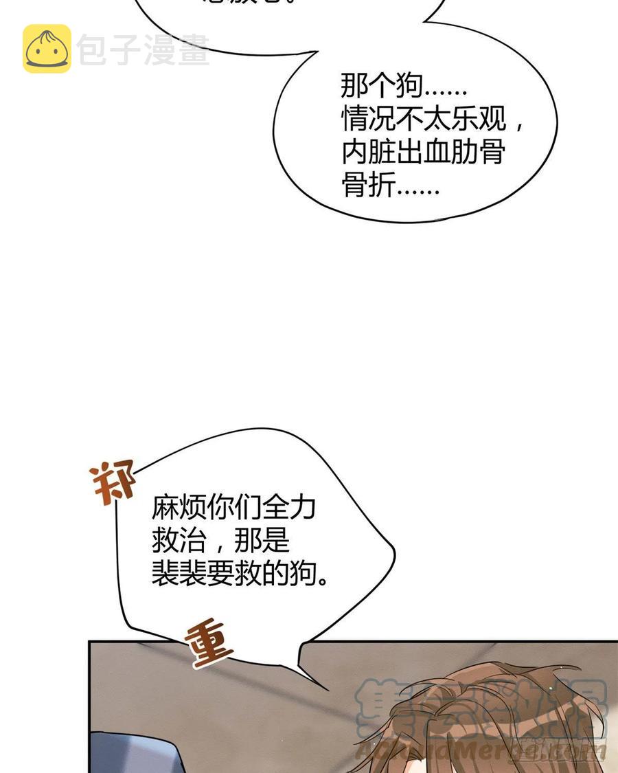今天也要努力当只猫漫画,48英雄救猫狗1图