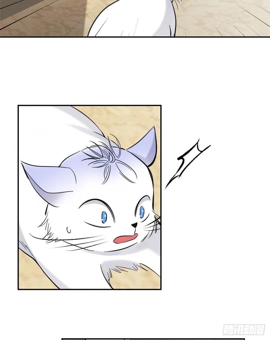 今天也要努力当只猫漫画,47坏女人！2图