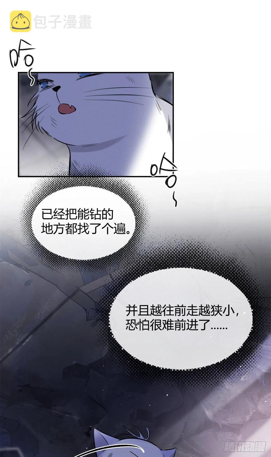 今天也要努力当只猫漫画,53 裴臻你变回来了？！1图