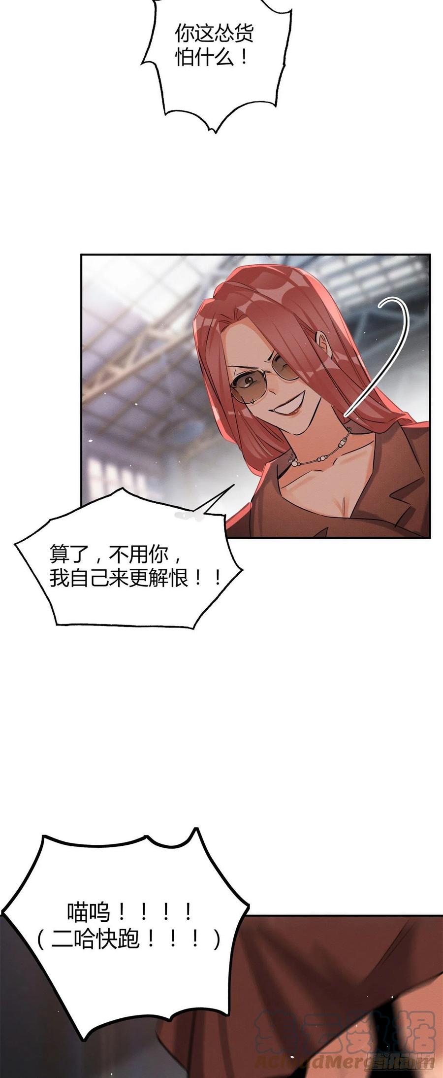 今天也要努力当只猫漫画,48英雄救猫狗1图