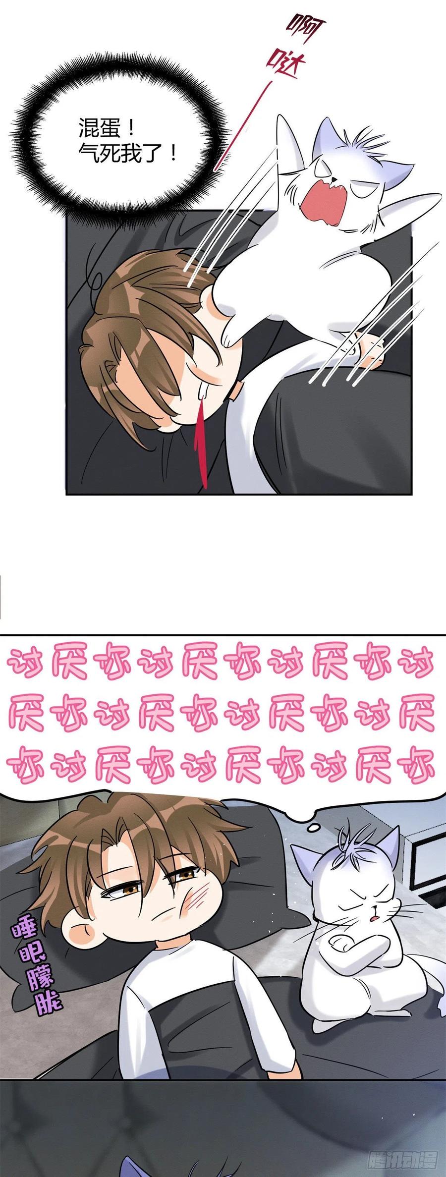 今天也要努力当只猫漫画,第44话 喜欢的是谁呢2图