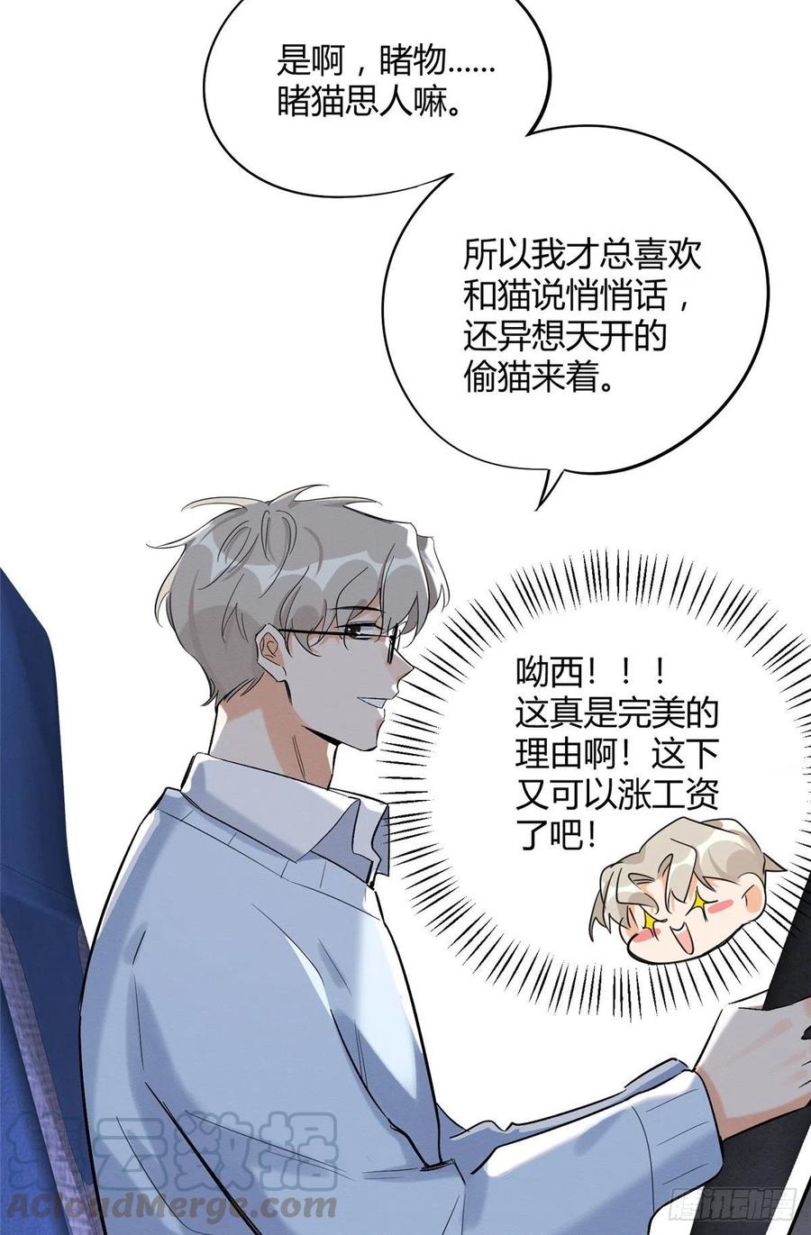今天也要努力当只猫漫画,第33话 睹猫思人1图