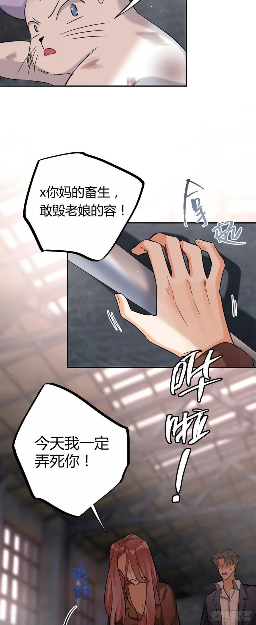今天也要努力当只猫漫画,48英雄救猫狗2图