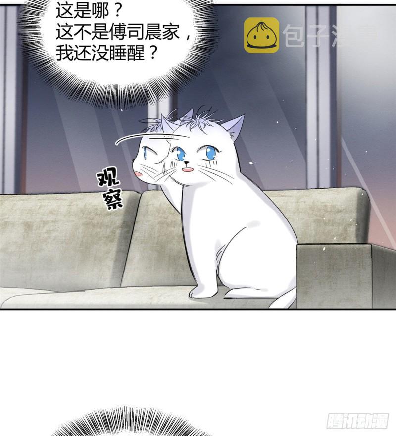 今天也要努力当只猫视频漫画,第37话 你就是裴臻2图