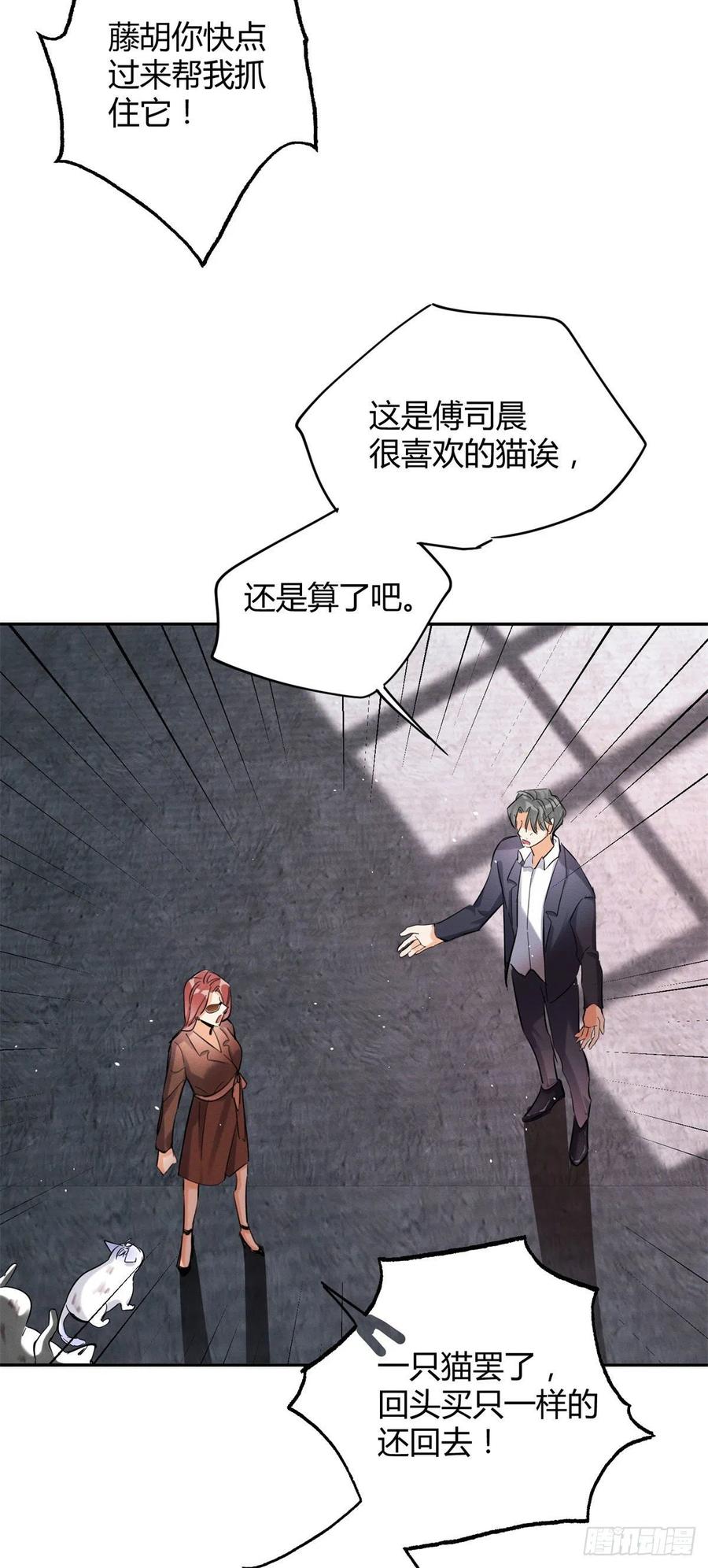 今天也要努力当只猫漫画,48英雄救猫狗2图